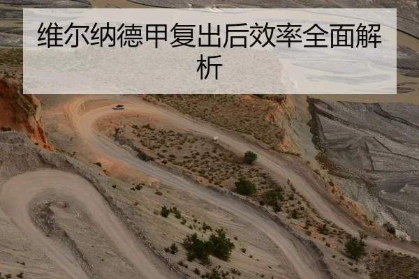 维尔纳德甲复出后效率全面解析